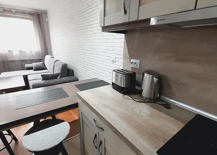 Vip Belvedere With Terrace K105 * 班斯科