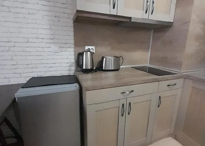 公寓 Vip Belvedere With Terrace K105 班斯科